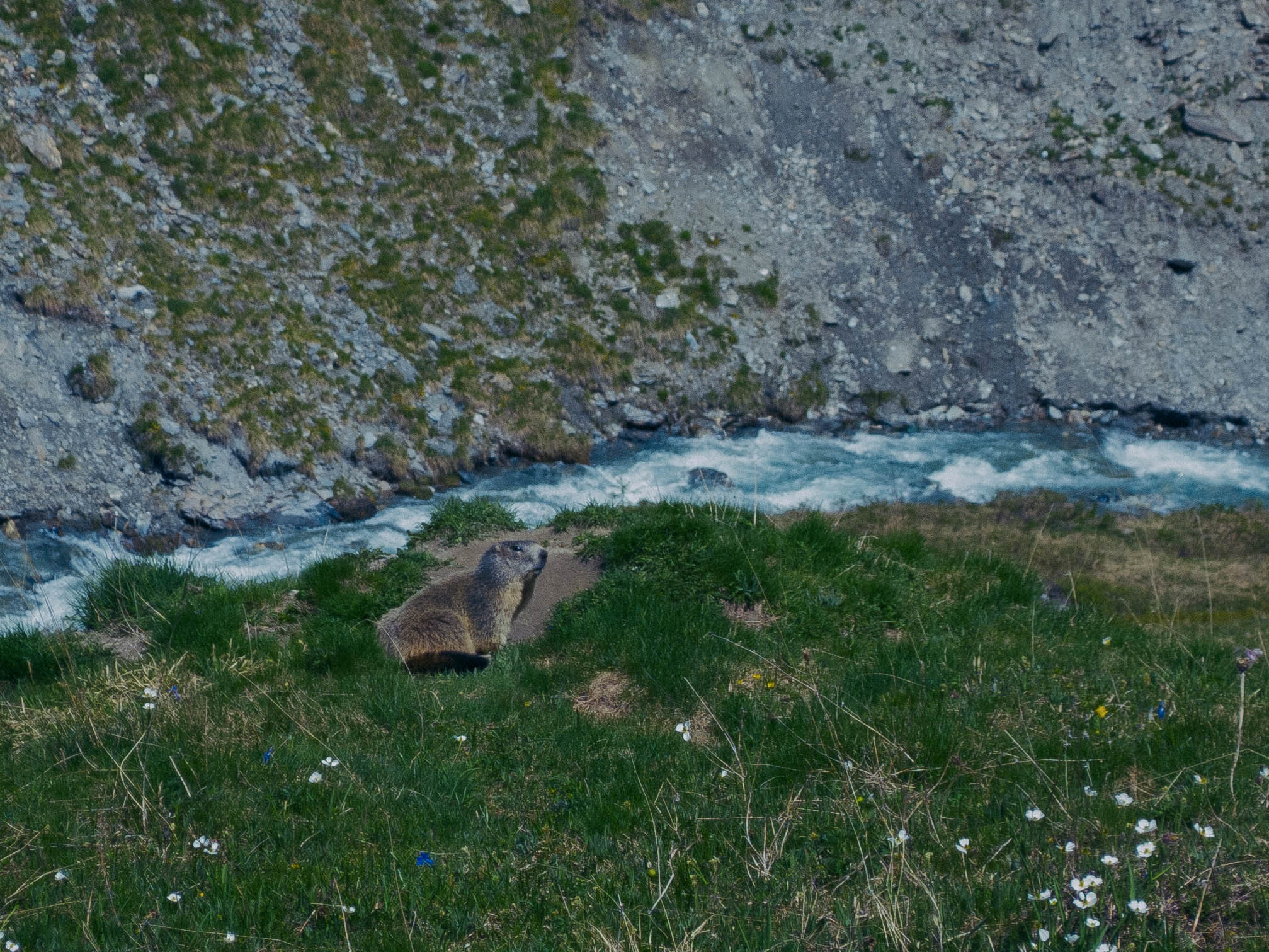 P1120033