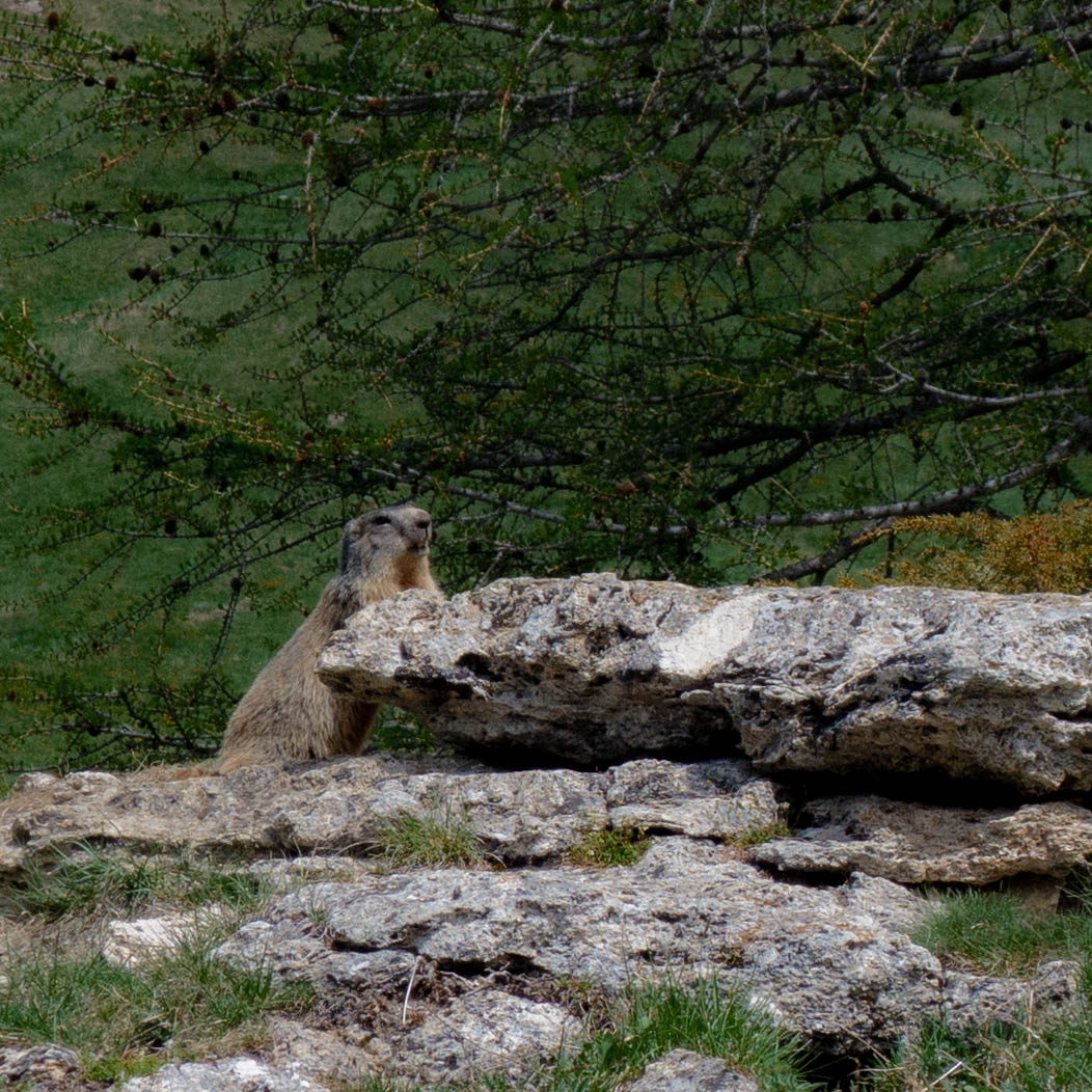 P1120038