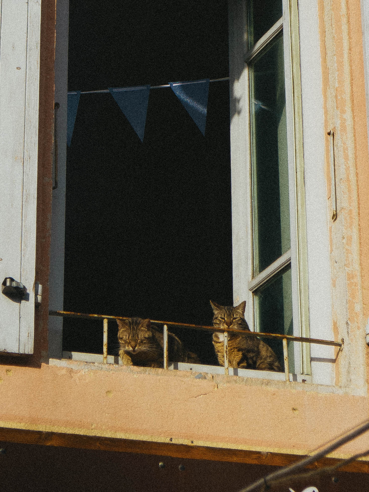 P1110956